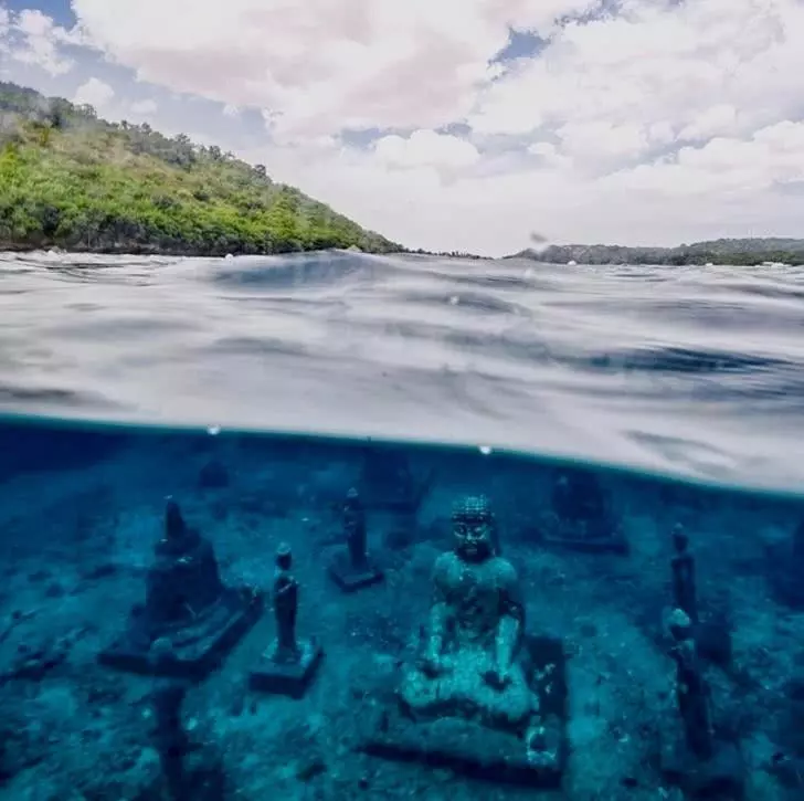 14张神奇而有趣的图片, 每一个都值得“哇”一大声