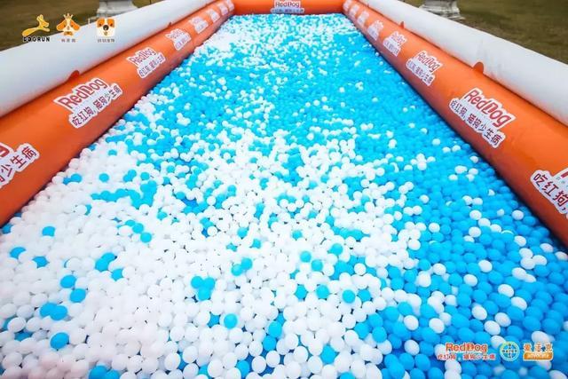 彩跑现场|作为广州人, 和狗开年彩跑好彩到爆