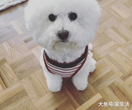 容祖儿住的豪宅究竟怎么样？院子里鸟语花香，环境也太好了
