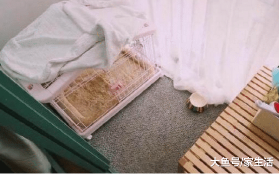 参观杨迪现实中的家：房子面积小得可怜，所有家具都是迷你版的