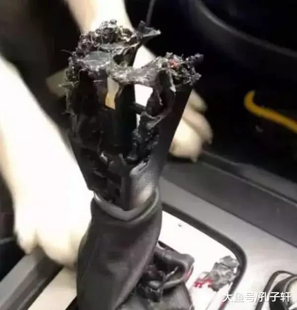 主人不让二哈做副驾驶，上个厕所的功夫，回来一看车都没法开了