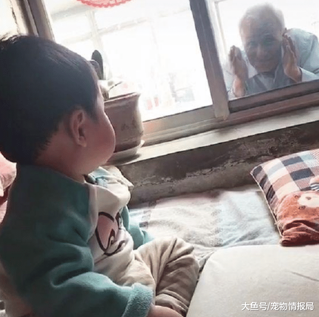 84岁曾祖父窗外偷看1岁小婴儿！网友：意外被曾祖父圈粉！