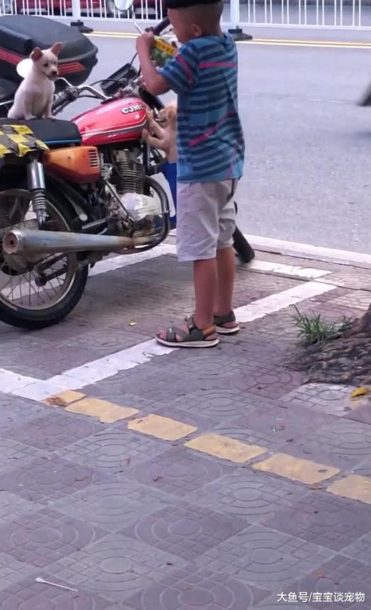 孩子吵着要喝饮料，母亲给他买了一瓶，接下来这幕令网友感动