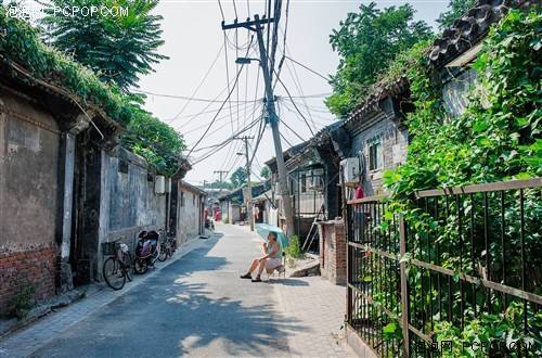 老北京四合院里快乐的夏天
