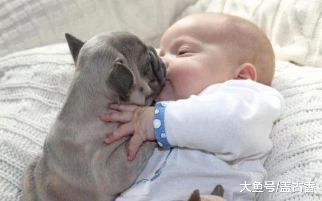 宝宝和三只小奶狗同一天出生，叼奶嘴熟睡时，内心都被萌化了！