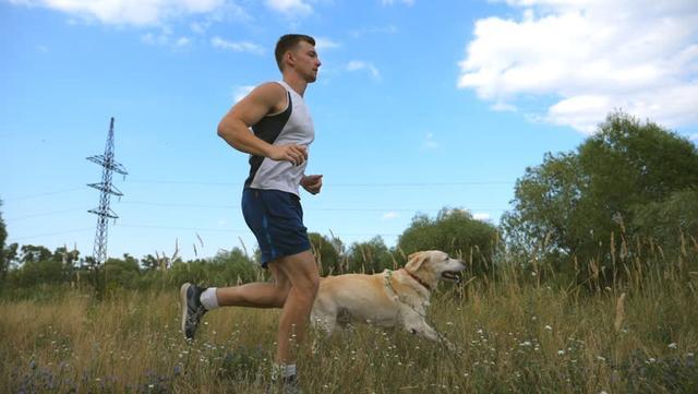 带狗狗一起自驾游，你们需要注意些什么？怎样可以健康又快乐