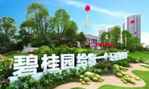 碧桂园要被高负债压垮？房企都从房地产“跑了”，如此还能撑多久？