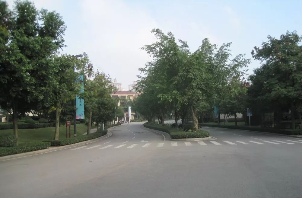 你知道工作生活在园林中的感觉吗？赶紧来天府新区体验下