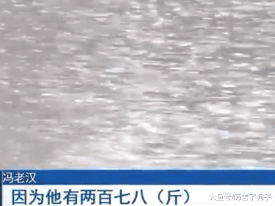 ?重庆：儿子280斤不慎掉入荷花池，老汉急寻好心人表感谢