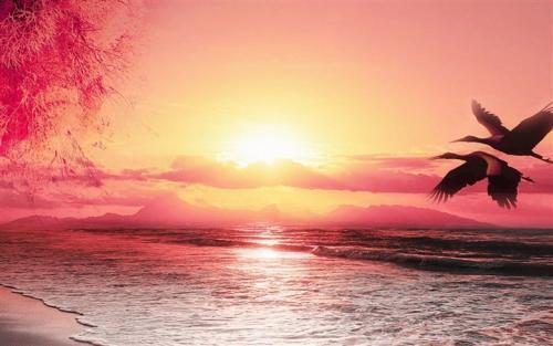 营销案例：宝马4s店众筹