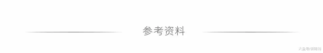 电子烟之死，罗永浩给了最后一锤子