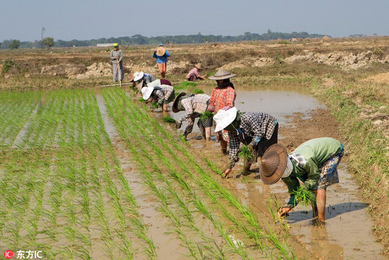 农民手中的地越来越值钱？农村土地改革试点, 每亩地 II0万