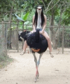 爆笑GIF：小哥哥你这样做真的很伤自尊的，就不能怜香惜玉一点嘛