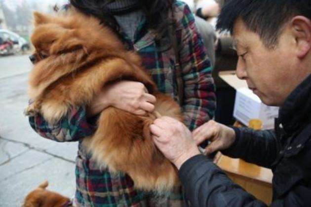 宠物被推荐注射犬八联疫苗，是为爱宠健康还是另有说法？
