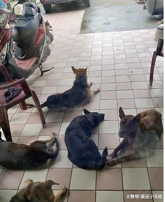 祖孙三人同步在客厅张嘴睡！网友揭残酷真相：你不是亲生的