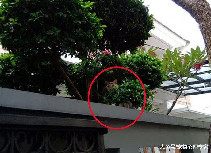 男子发觉身后有道视线，转身一看没绷住：这货谁吸得动？