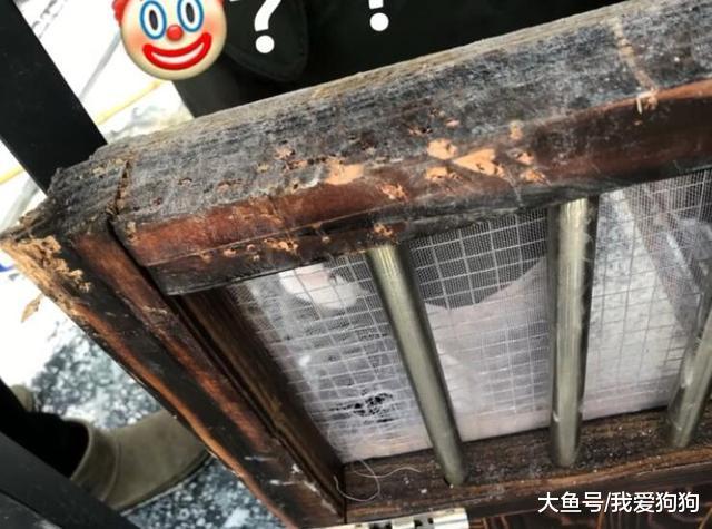 买的时候说这房可以用十年, 结果过了两个周, 网友: 买房需谨慎!