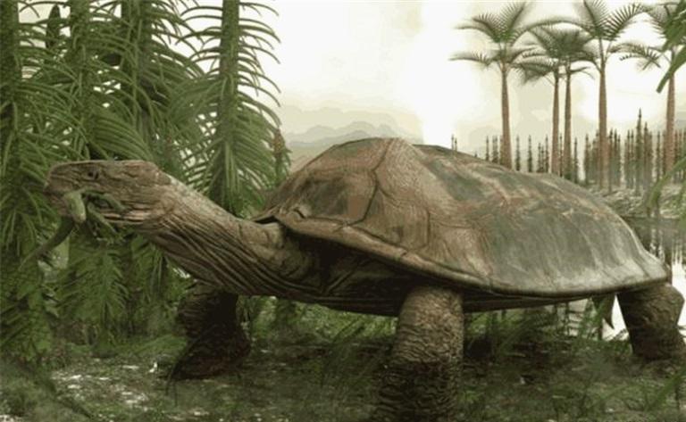 4种凶猛的史前生物，第一是第一个“百兽之王”，第三乌龟吃鳄鱼