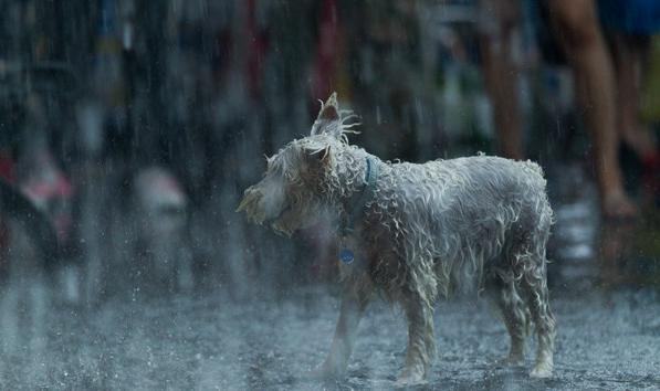 本轮房价向下“回调”的幅度或让炒房者“哭爹喊娘”