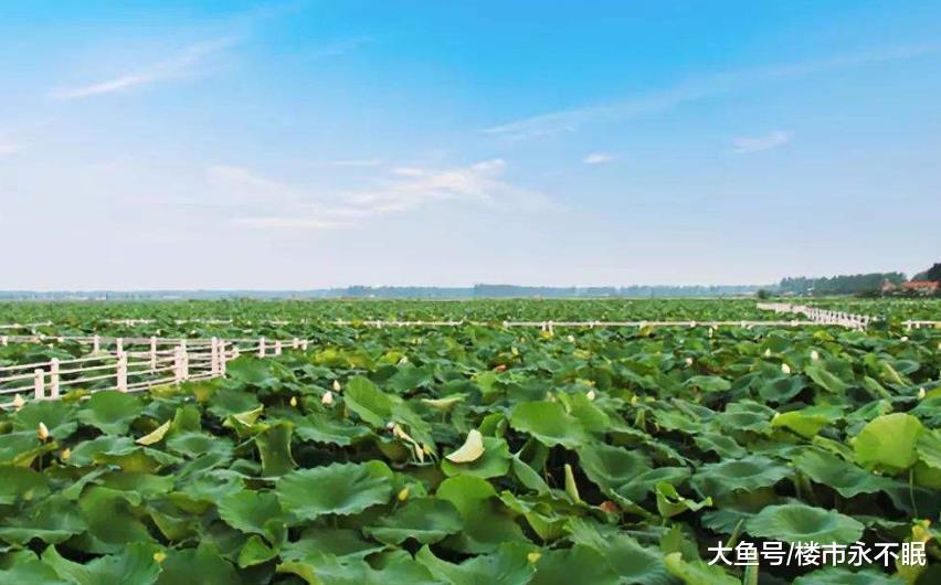 江苏房价最高的3个县，涨势或难继续