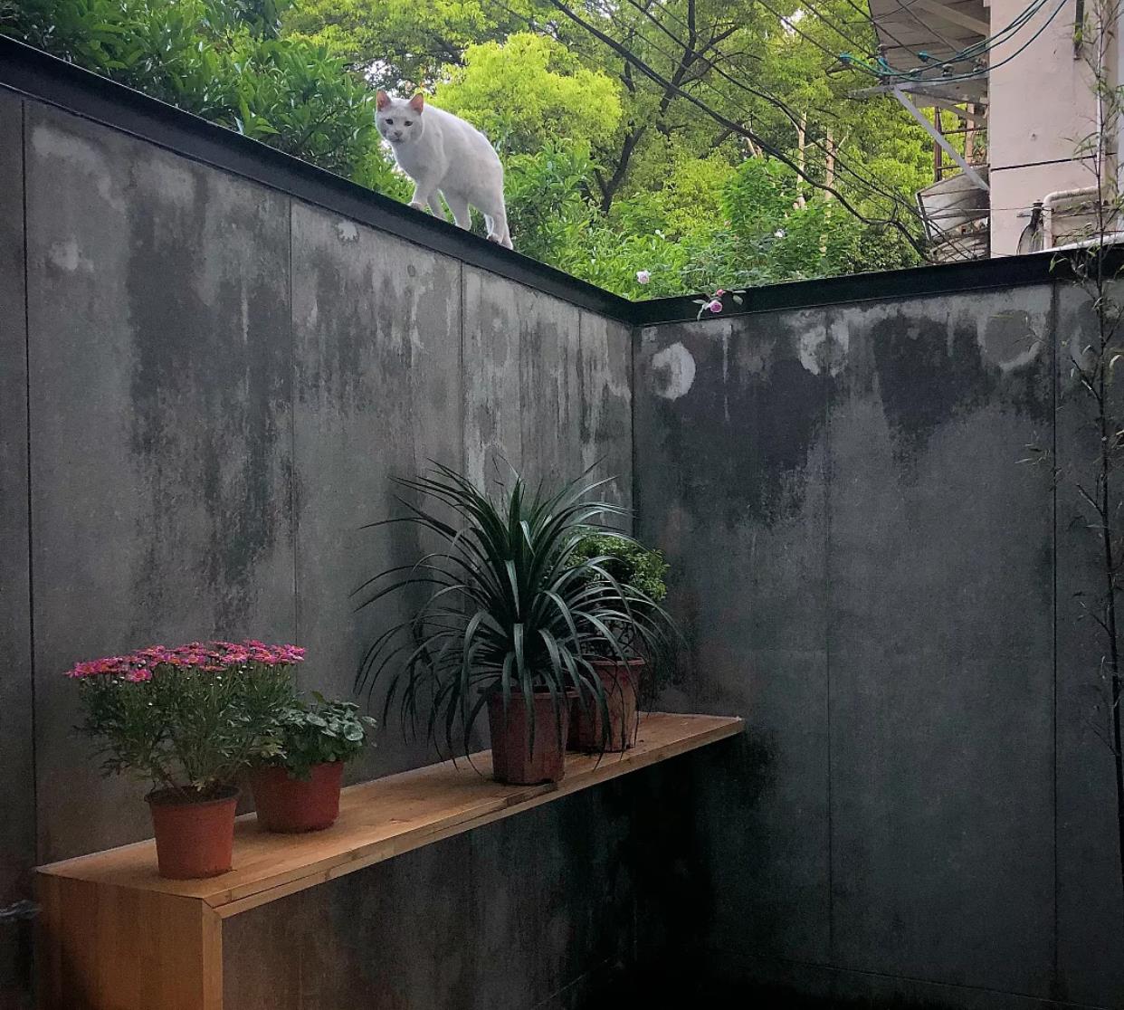 表哥48平小窝，卫生间照样做四分离，大大花园超喜欢！忍不住晒晒