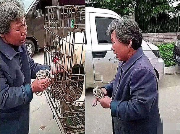 养了多年的土狗被老人贱卖, 当场痛哭告别, 转身一个动作暴露真相