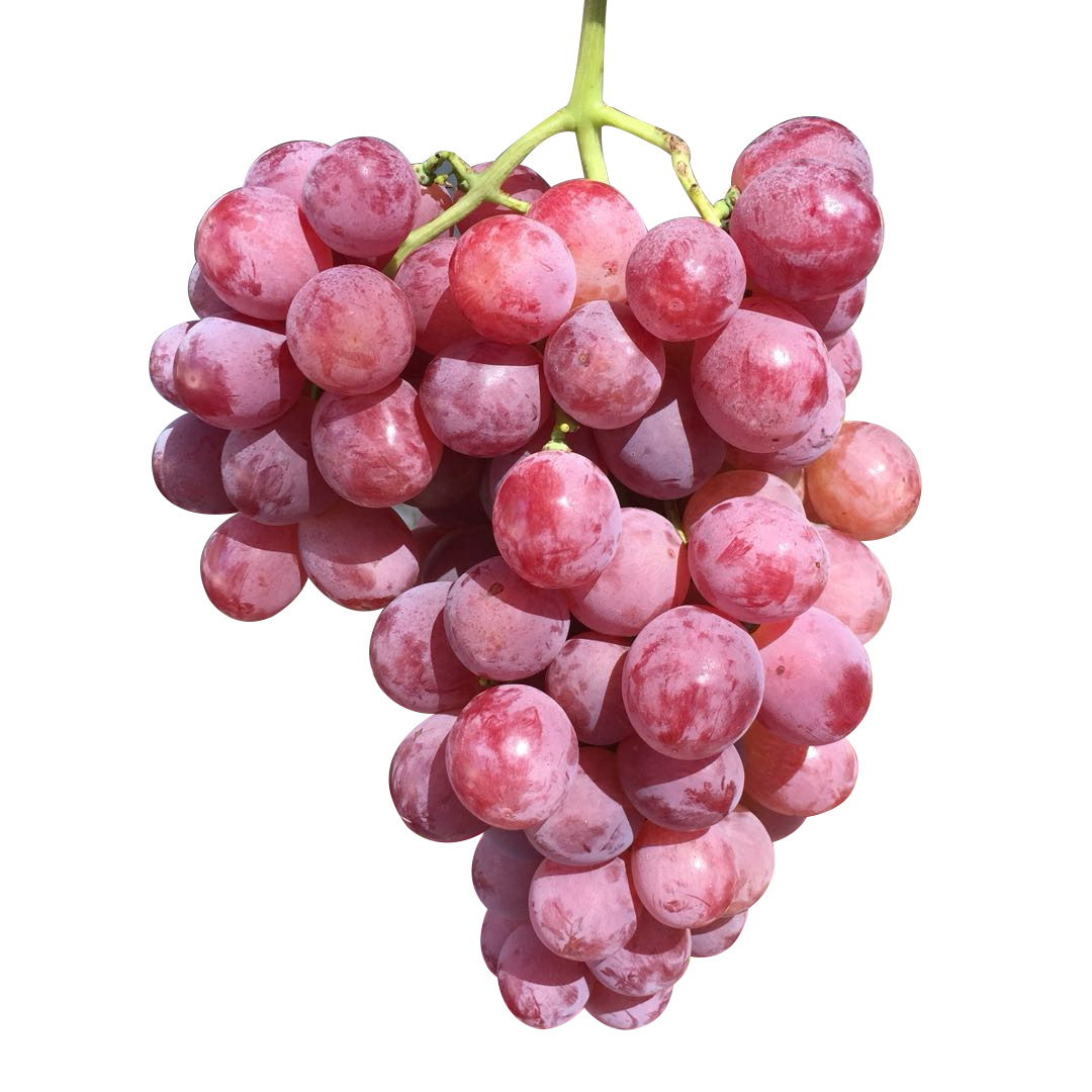 女性"大姨妈"来了,别吃冰冷辛辣的食物,这些东西却可以安心吃