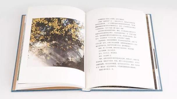 易中天：唐詩里的中國智慧