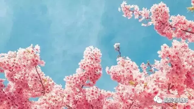 想要提升自己的手机摄影技巧, 这几个问题需要注意