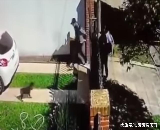 新战斗民族？阿根廷男子不到20秒徒手击退2名持枪劫匪