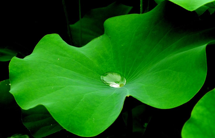 抖音带火的“永不脏”衣服，京东众筹700万，30天不洗也不脏