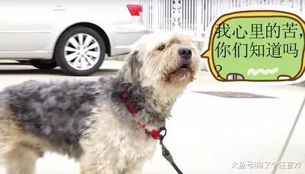 这是一个关于绿帽子的故事