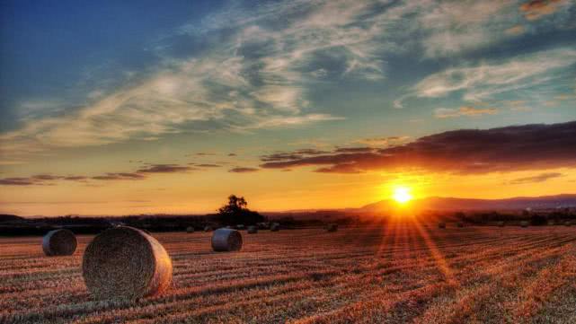 关于如何脱贫? 与其资助, 不如传授技术让当地学会一技之长!