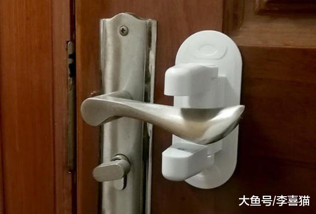 楼房养猫问题多，铲屎官为保障猫咪安危，四点准备不可缺