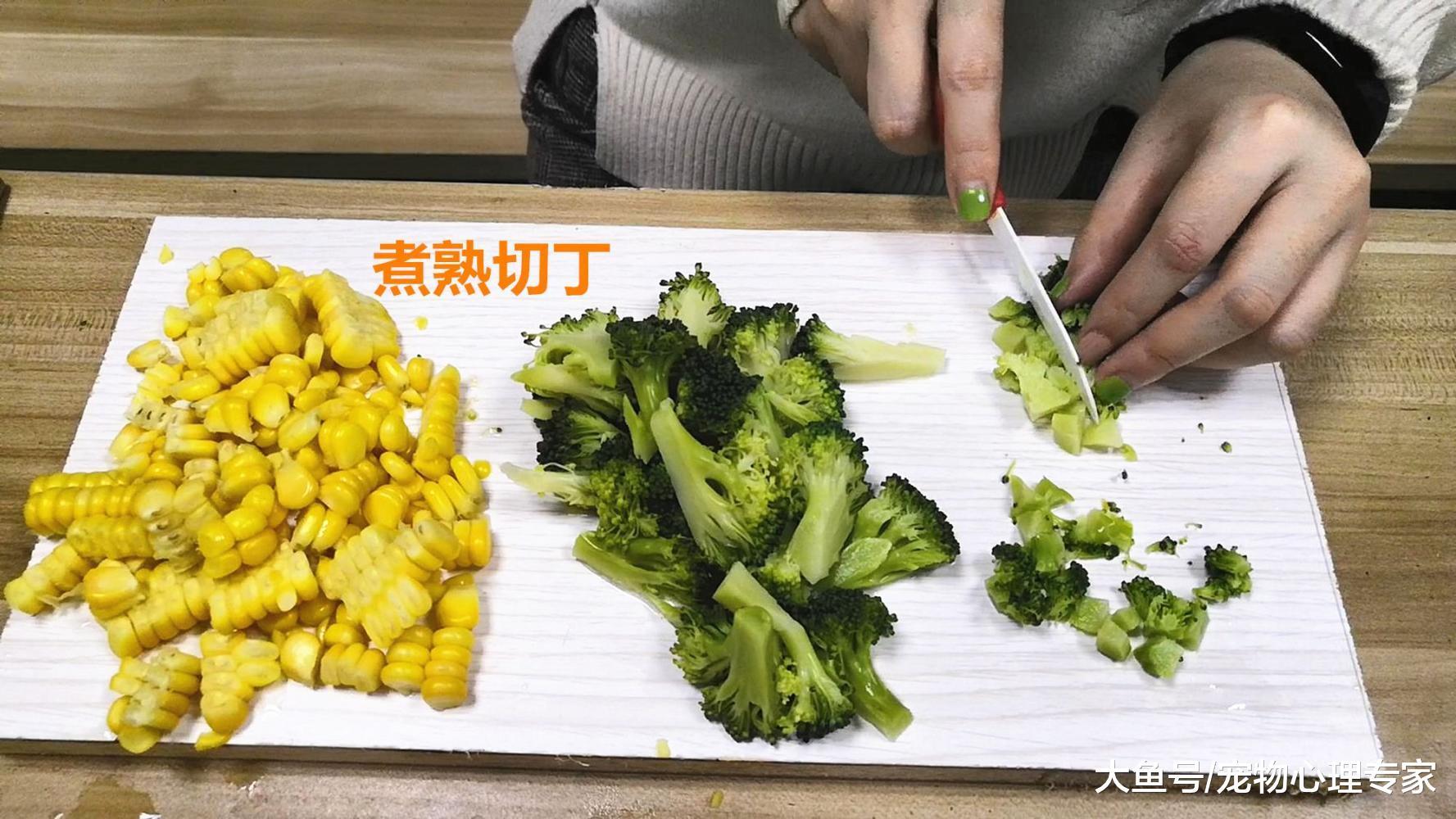 兩腳獸們出去年度聚餐，也不忘讓寵物吃上美味過大年，不料看饞了