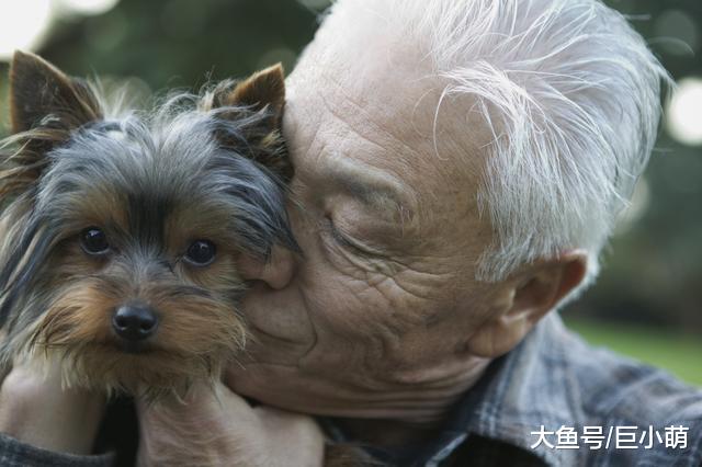 父母养狗的三大常见错误，说自己讨厌狗的他们，比你更容易宠坏狗