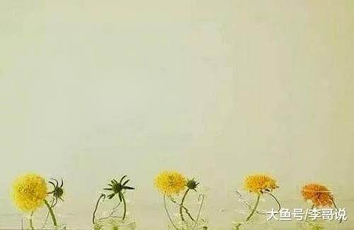 人到中年，不争，不辩，不炫耀