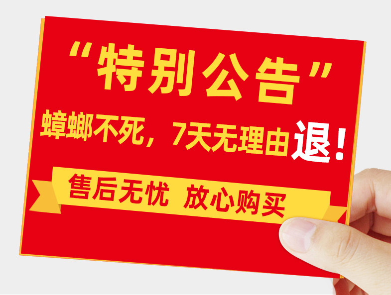 光用樟脑丸根本没办法把蟑螂全灭，婆婆用一颗土豆竟杀死一片！暖男历劫