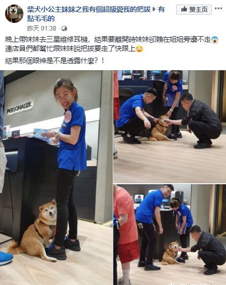 柴柴看见美女秒抛弃把拔“你走吧，以后朕就跟她过了！”