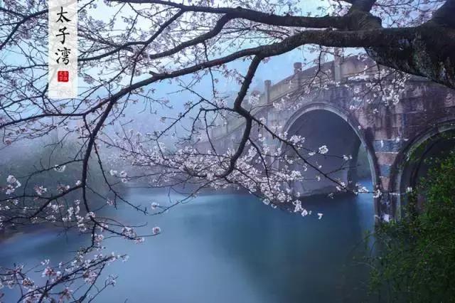 “最适合养老的20座城市”排行榜