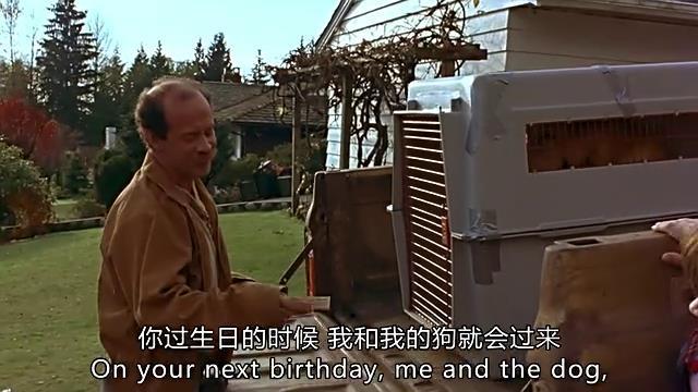 追忆童年, 有狗狗陪伴成长