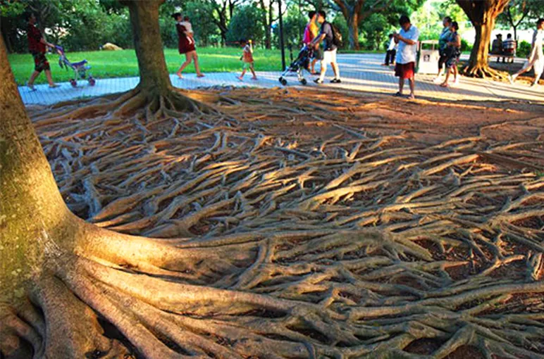 猜猜这些艺术装置，它们的灵感原型来源哪里？