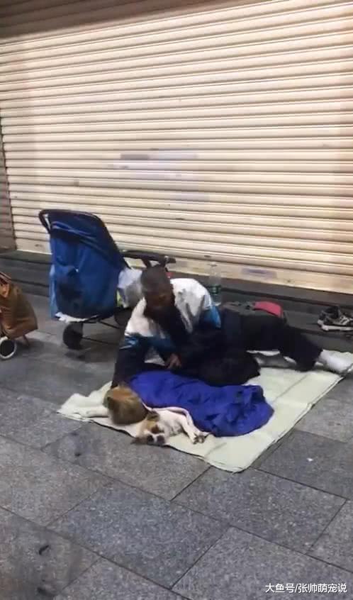 流浪汉带狗露宿街头，路人看后十分疑惑，上前询问后感动落泪！