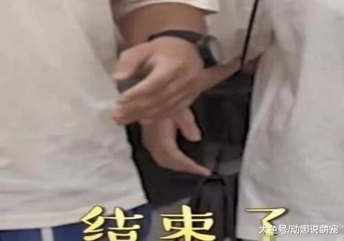 情侣街头被采访，女子回答完后问题男友秒松开手，发生了什么！