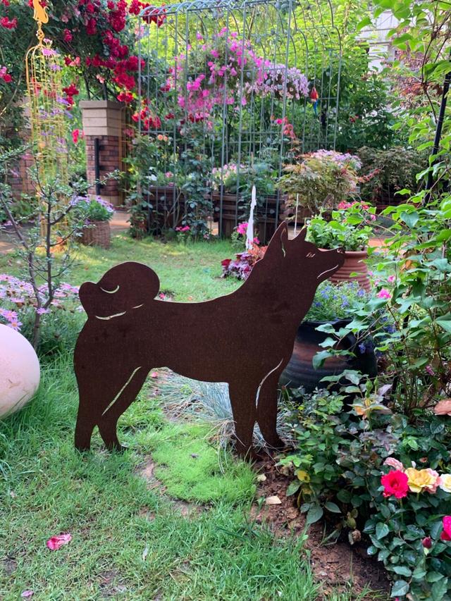 想有个带院子的房子，看花开叶落一辈子，让生活变成一件浪漫的事