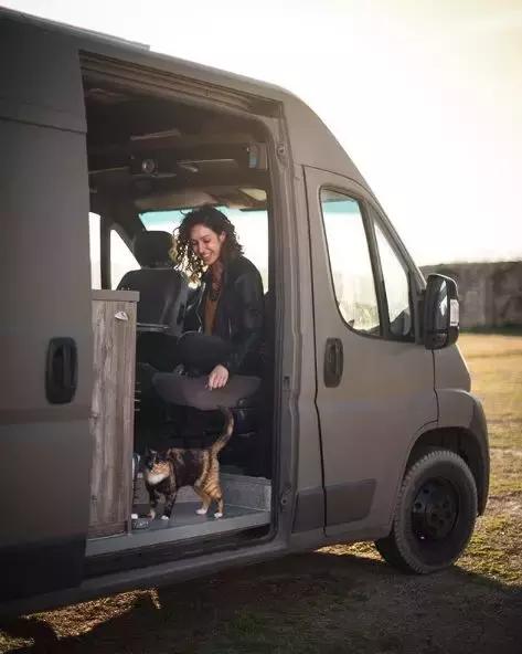流浪猫私自闯上车被赶出，最后居然搭上顺风车，环游全欧洲