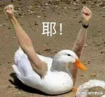 “無理由退房”新政推行！房子可以任性買隨時退？仔細一看才發現...