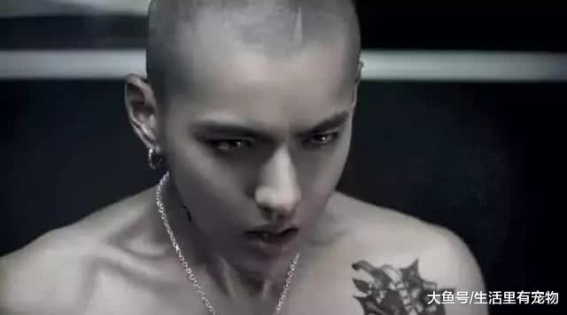 知名男艺人上综艺节目戴耳钉被屏蔽，控告节目组！