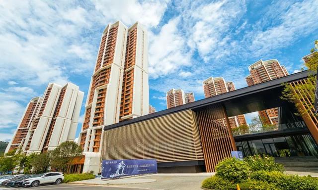 1天就是80套，和它比卖房？too young too simple