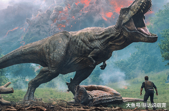 如果恐龙没灭绝，现在会变成小鸡仔？到底是为何？